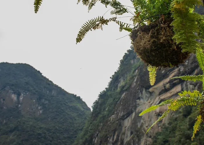 Bed & Breakfast Runas
